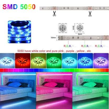 Voice Control LED Strip Lights